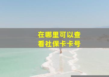 在哪里可以查看社保卡卡号