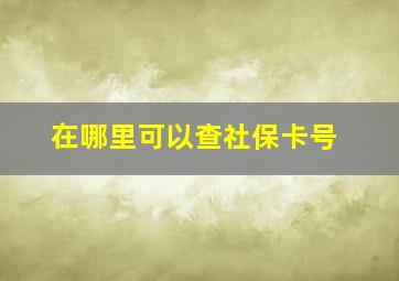 在哪里可以查社保卡号