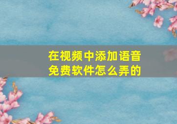 在视频中添加语音免费软件怎么弄的