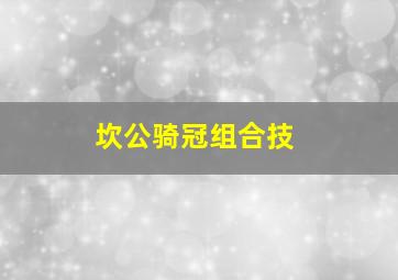 坎公骑冠组合技