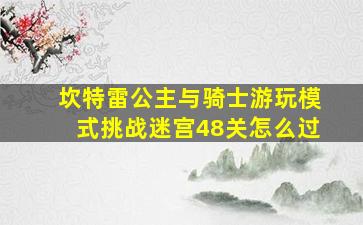 坎特雷公主与骑士游玩模式挑战迷宫48关怎么过