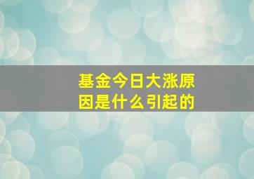 基金今日大涨原因是什么引起的