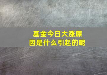 基金今日大涨原因是什么引起的呢