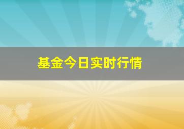 基金今日实时行情