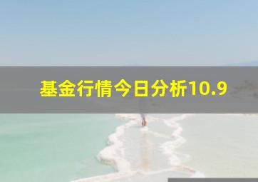 基金行情今日分析10.9