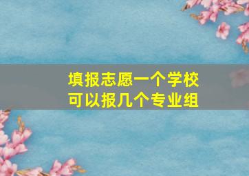 填报志愿一个学校可以报几个专业组