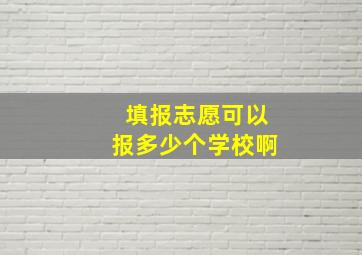 填报志愿可以报多少个学校啊