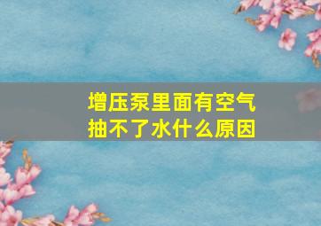 增压泵里面有空气抽不了水什么原因