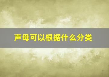 声母可以根据什么分类