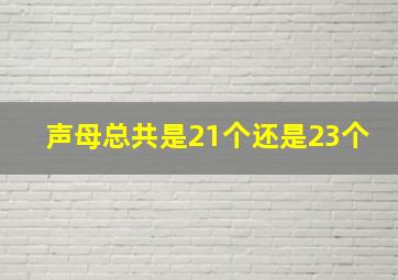 声母总共是21个还是23个