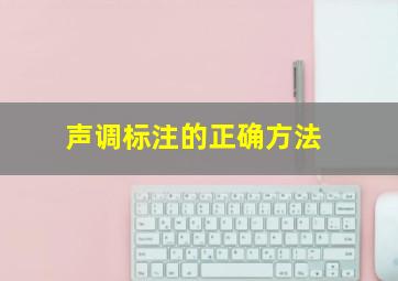 声调标注的正确方法