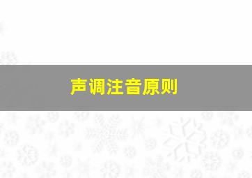 声调注音原则