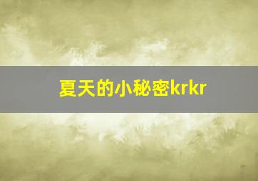 夏天的小秘密krkr