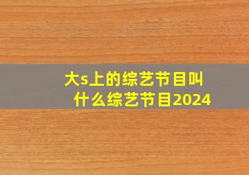 大s上的综艺节目叫什么综艺节目2024