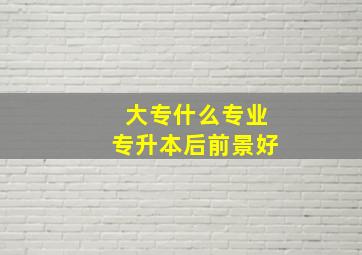 大专什么专业专升本后前景好