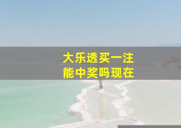 大乐透买一注能中奖吗现在