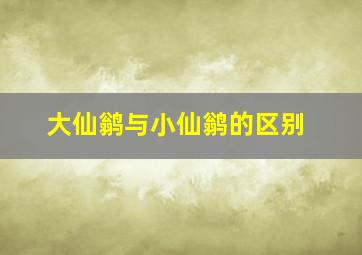 大仙鹟与小仙鹟的区别