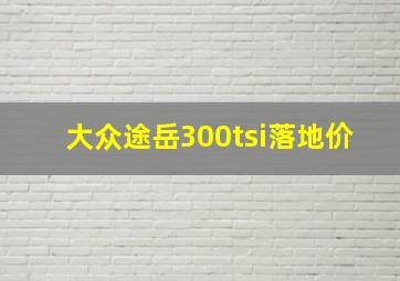 大众途岳300tsi落地价