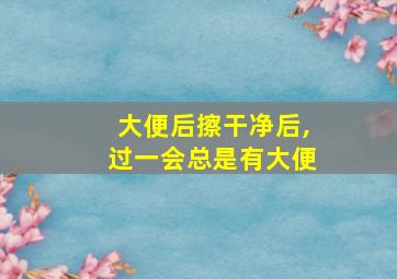 大便后擦干净后,过一会总是有大便