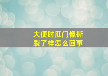 大便时肛门像撕裂了样怎么回事