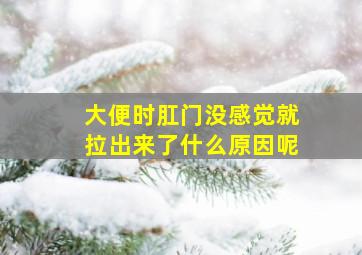 大便时肛门没感觉就拉出来了什么原因呢