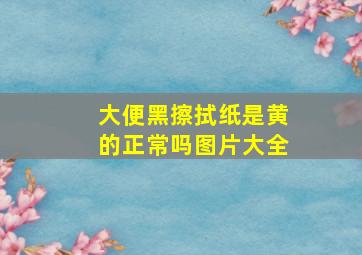 大便黑擦拭纸是黄的正常吗图片大全