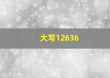 大写12636