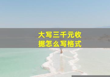 大写三千元收据怎么写格式