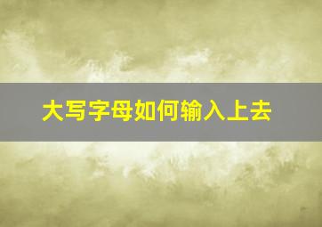 大写字母如何输入上去