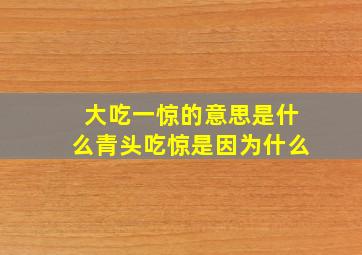 大吃一惊的意思是什么青头吃惊是因为什么