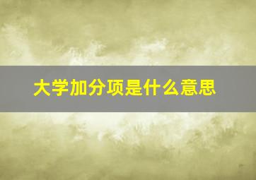 大学加分项是什么意思