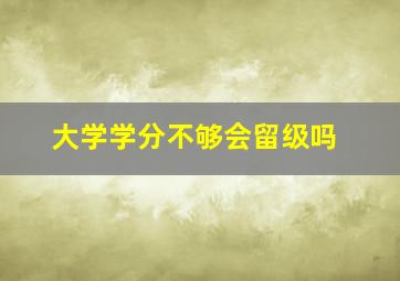 大学学分不够会留级吗