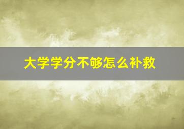 大学学分不够怎么补救