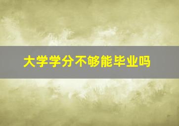 大学学分不够能毕业吗