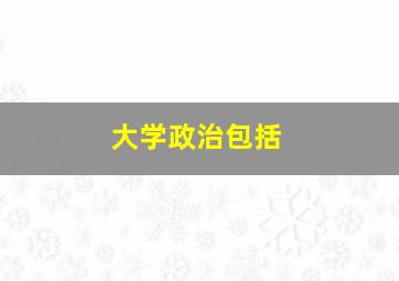 大学政治包括