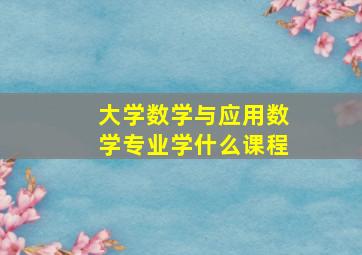 大学数学与应用数学专业学什么课程