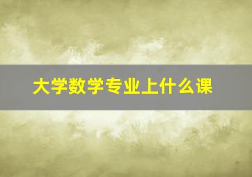 大学数学专业上什么课