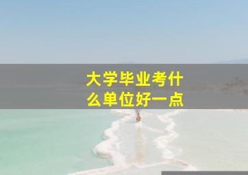 大学毕业考什么单位好一点