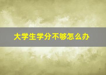 大学生学分不够怎么办