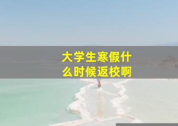 大学生寒假什么时候返校啊