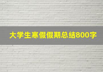 大学生寒假假期总结800字