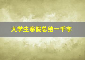 大学生寒假总结一千字