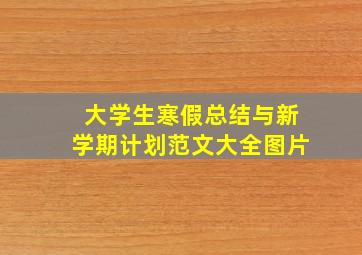 大学生寒假总结与新学期计划范文大全图片