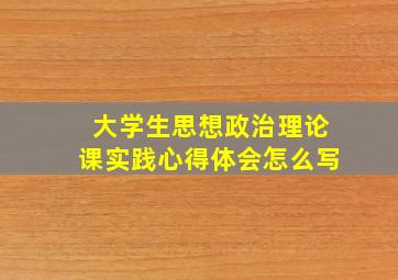 大学生思想政治理论课实践心得体会怎么写