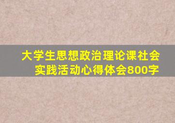 大学生思想政治理论课社会实践活动心得体会800字