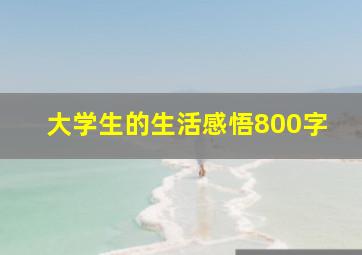 大学生的生活感悟800字