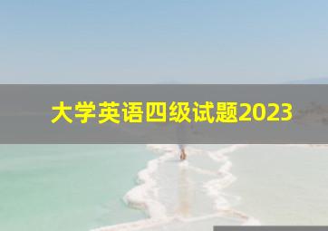 大学英语四级试题2023