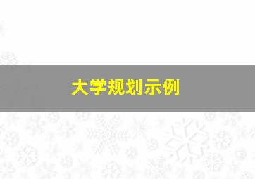 大学规划示例