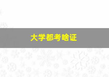 大学都考啥证