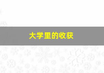 大学里的收获